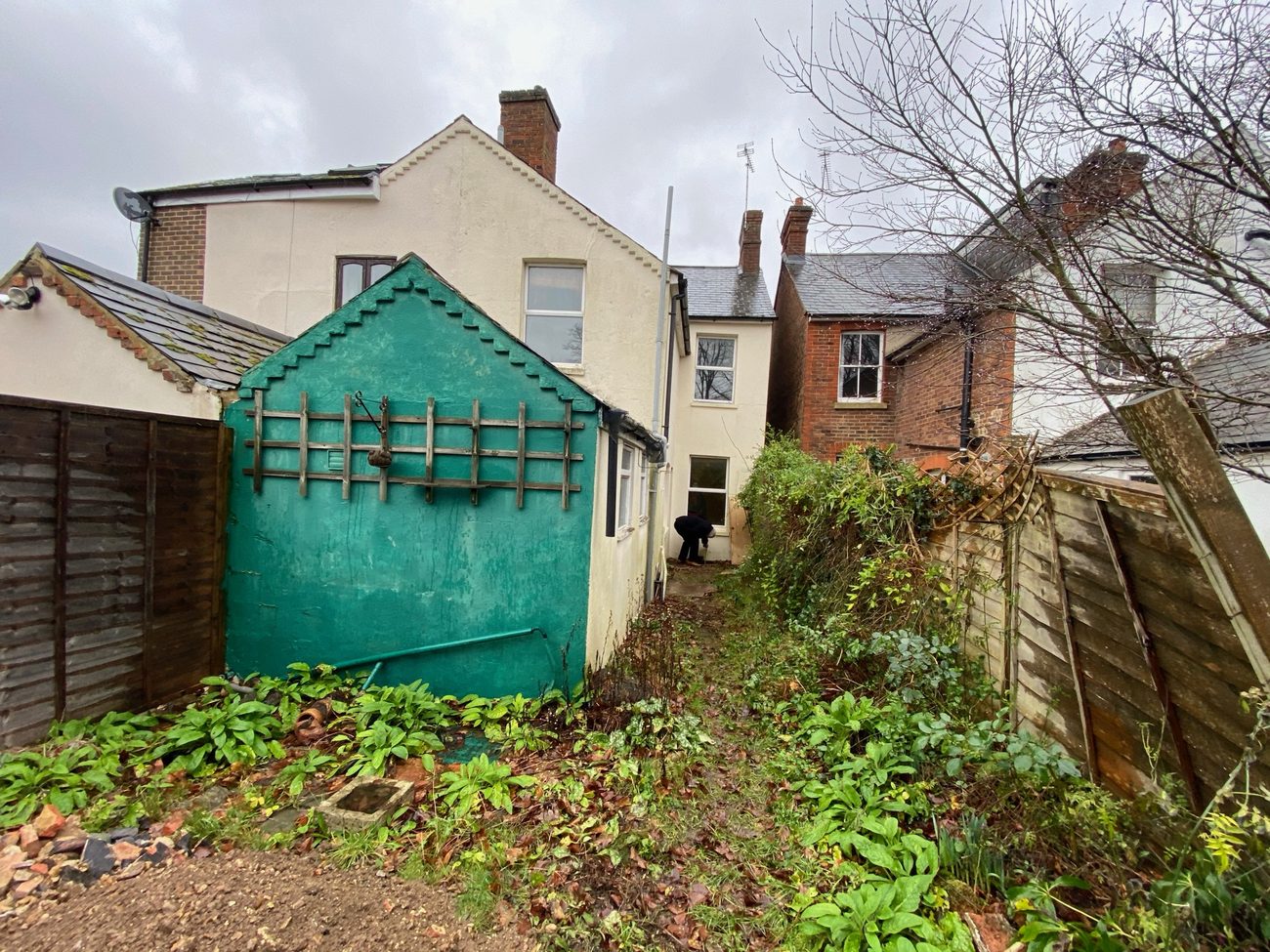 Overgrown garden and outbuilding before clearance