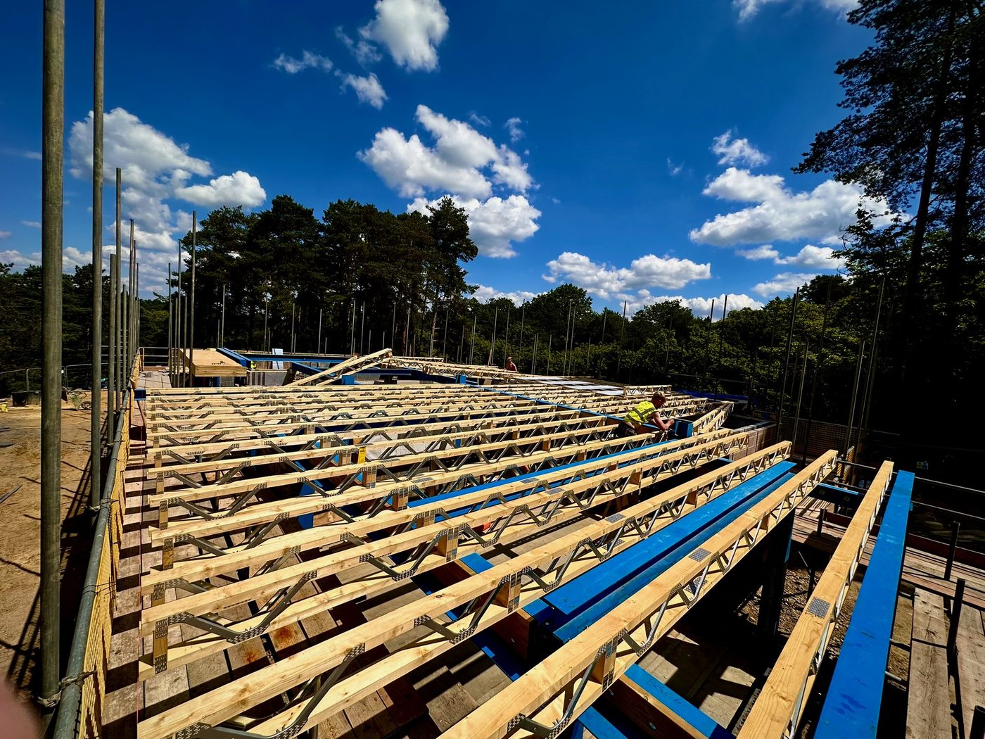 Painted steel beams and timber joists forming a new floor